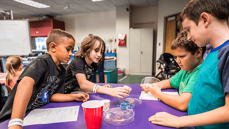 A group of homeschool students observe the behavior of superworms.