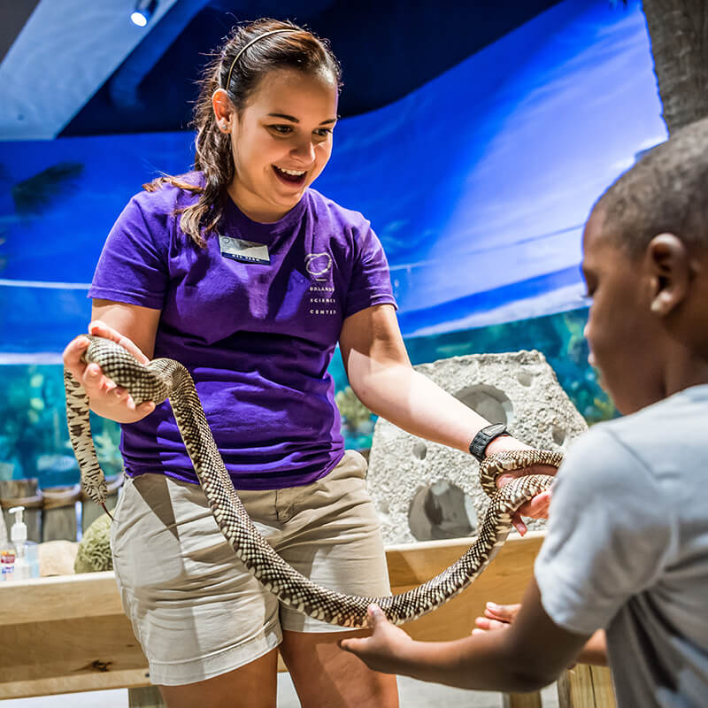 An animal care employee lets a boy touch a snake that she holds.