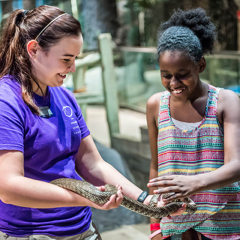 Students touch a snake with a NatureWorks animal caretaker.