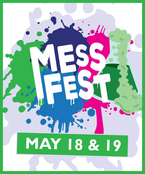 Mess Fest Flyer