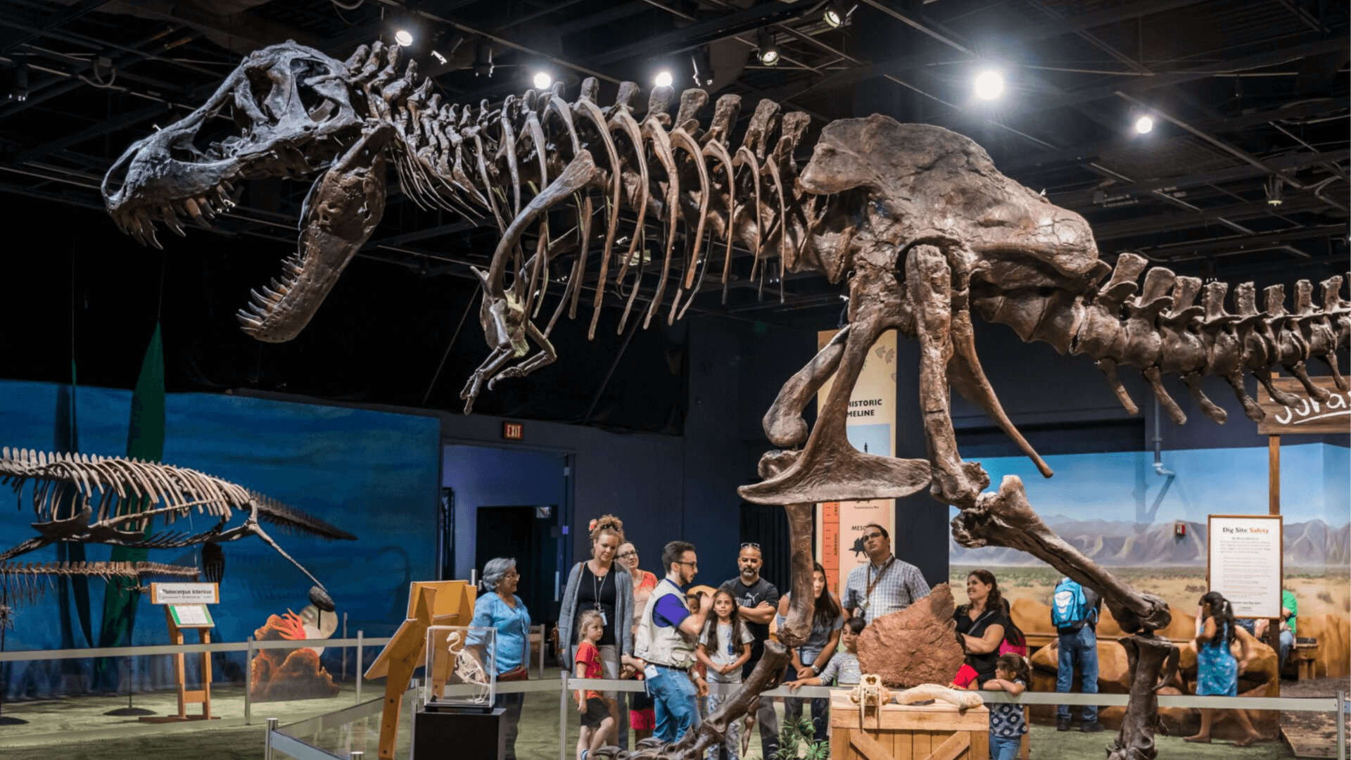 Guests in dino digs room