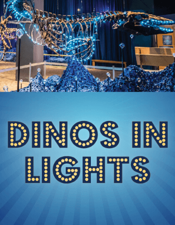 Dinos in Lights Graphic