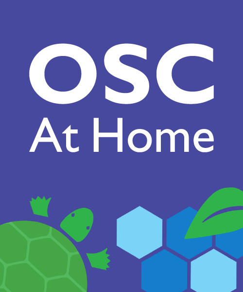 OSC At Home - illustration of turtle and hexagons