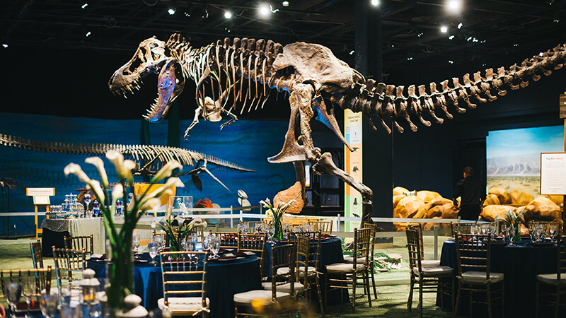 Stunning wedding setup in DinoDigs exhibit hall around large T rex. specimen.