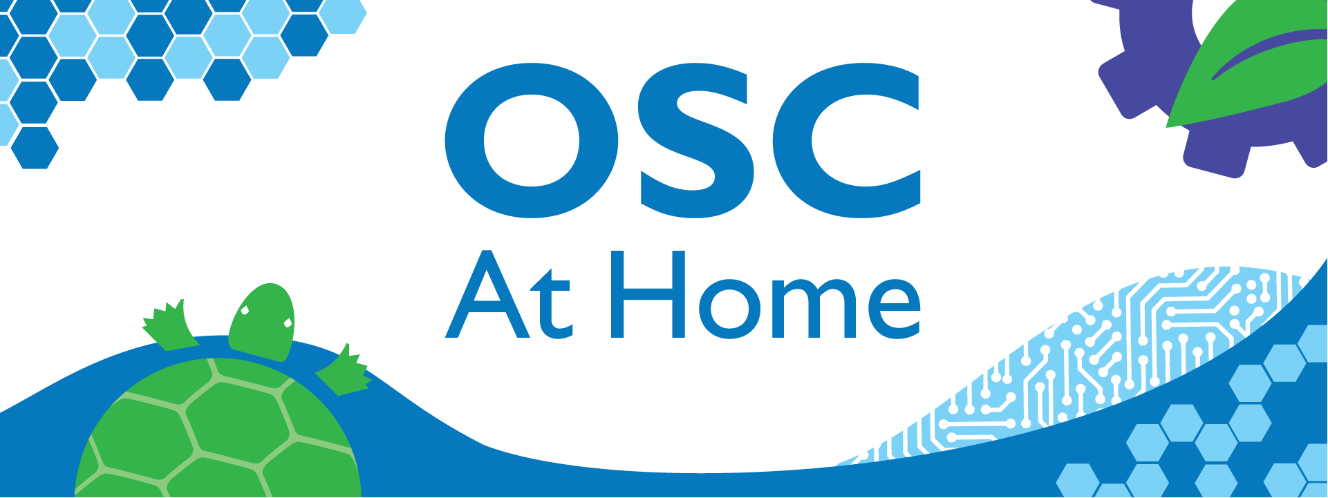 OSC At Home - illustration of turtle and hexagons