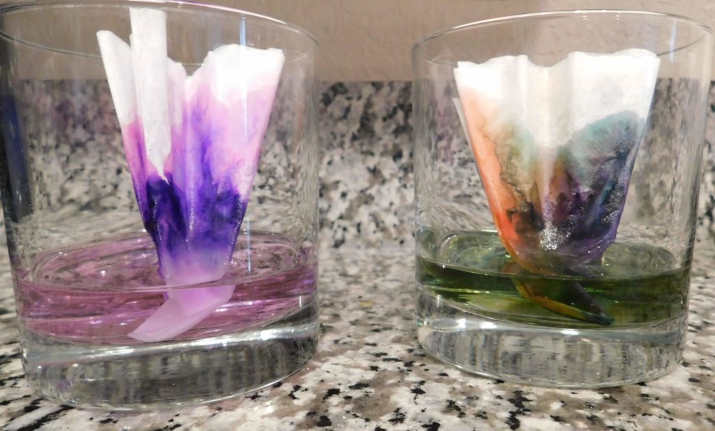 soak colorful coffee filters in water to see capillary action