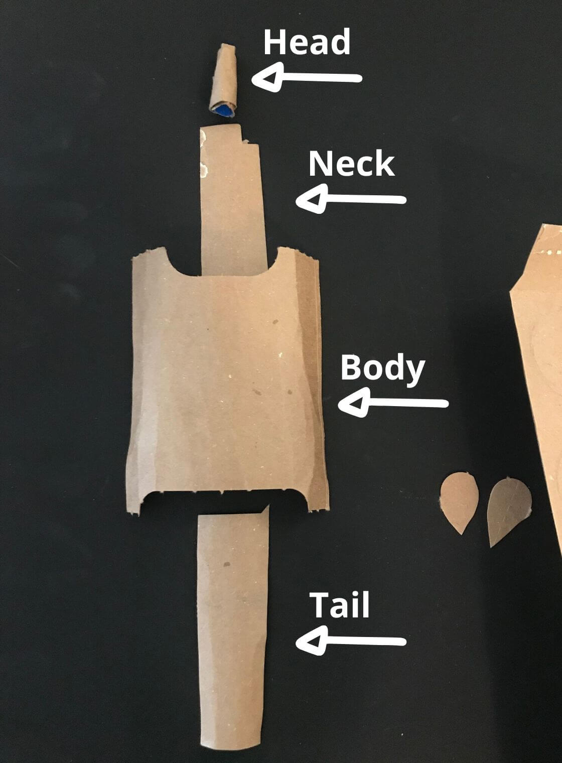 step-1-for-cardoard-animals Instructions for Cardboard Animals pangolin steps 1 - 3