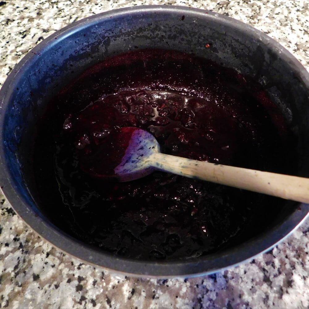 Mash and boil blueberries to make a blue DIY ph indicator