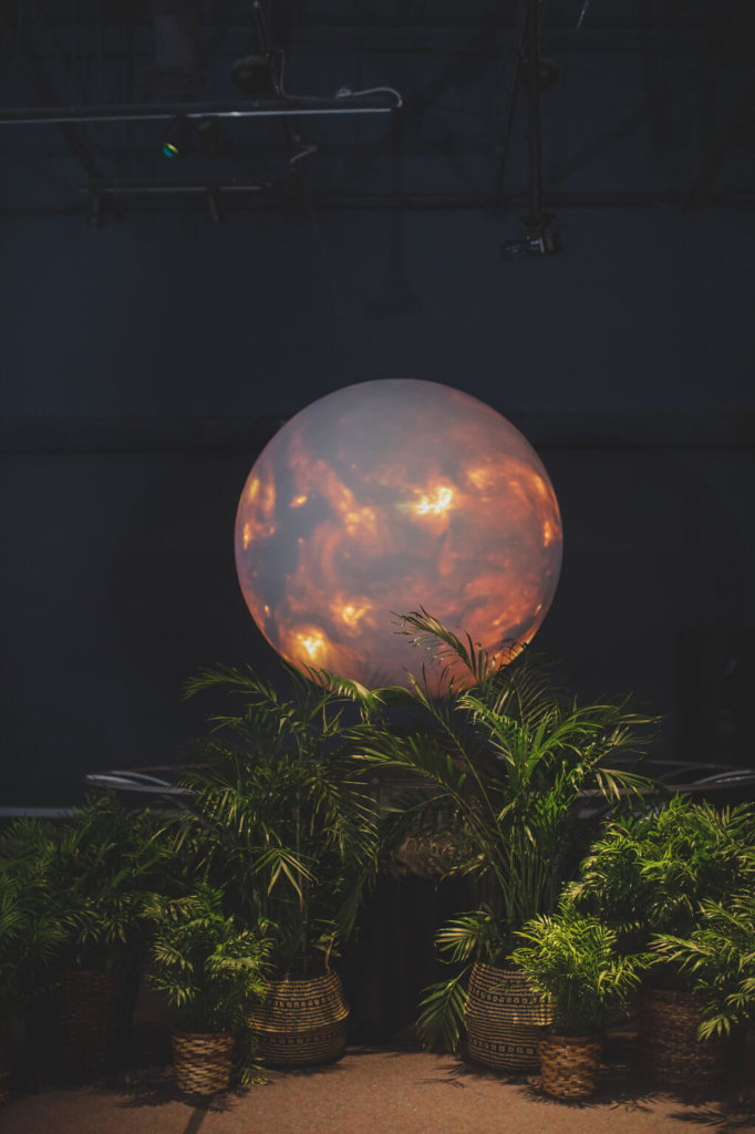 dinosaur wedding- sun