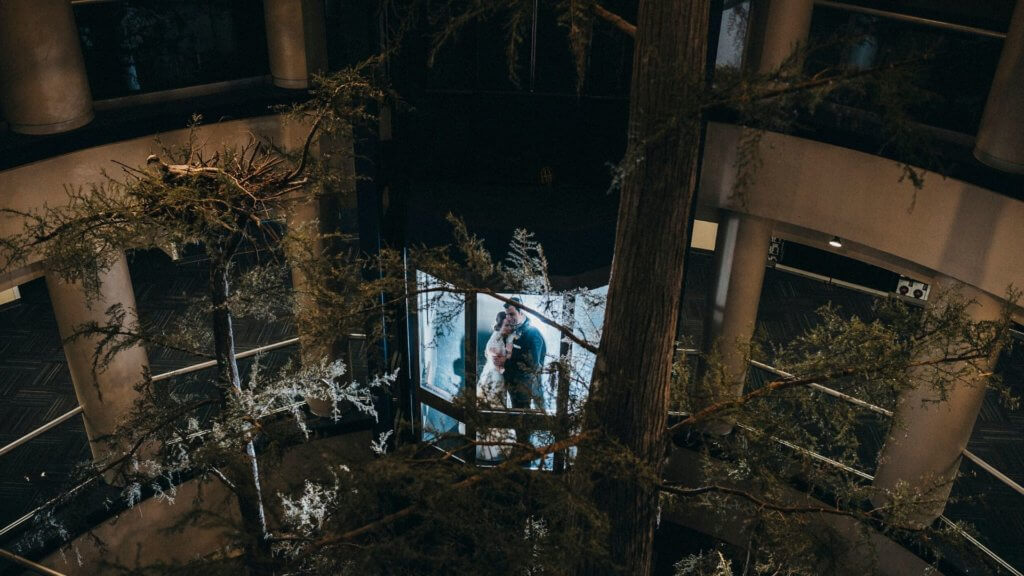 Best Wedding Portrait Backdrops in Orlando Science Center Header