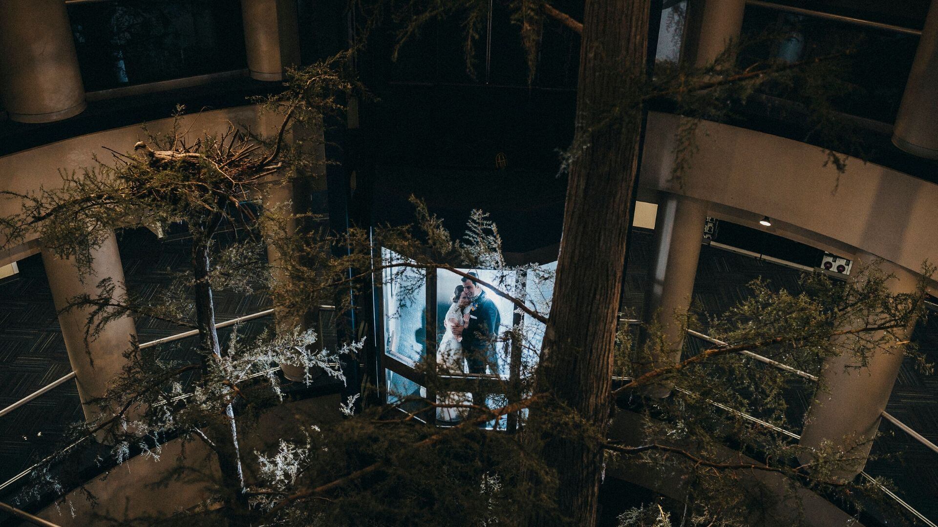 Best Wedding Portrait Backdrops in Orlando Science Center Header