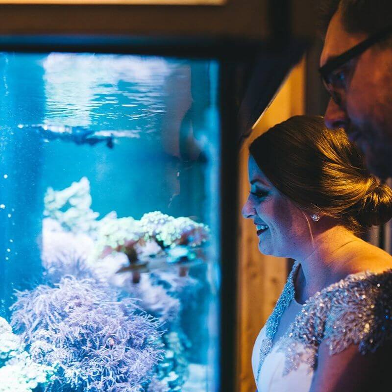 Best Wedding Portrait Backdrops in Orlando with animals