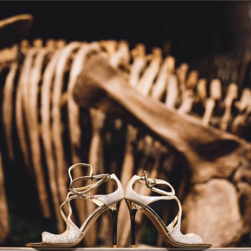 Best Wedding Portrait Backdrops in Orlando - dinosaur backdrop