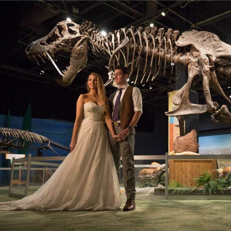 Best Wedding Portrait Backdrops in Orlando - dinosaur backdrop