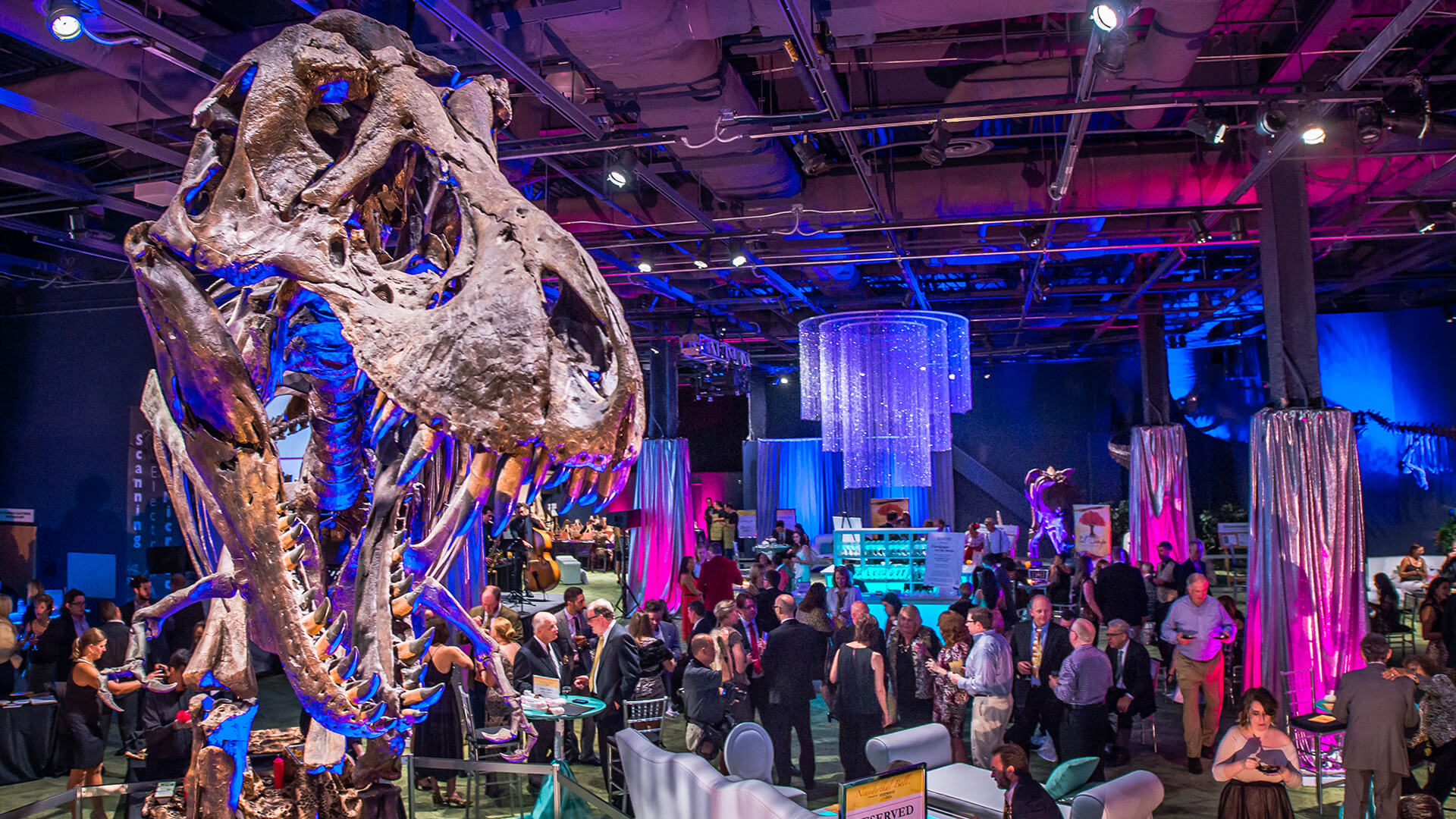 Large upscale event featured in DinoDigs exhibit hall.