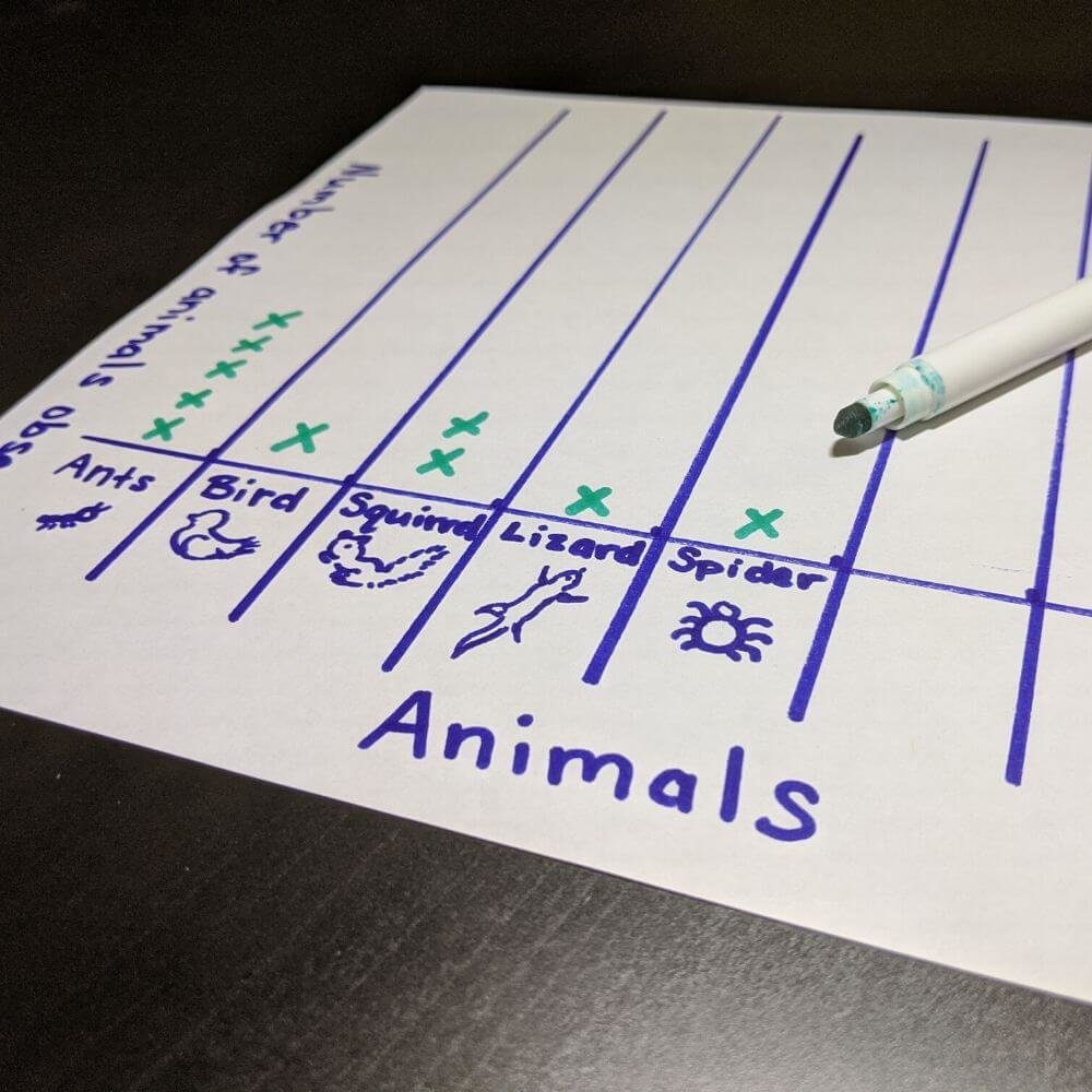 collect data by marking the animals you observe on your animal activity chart