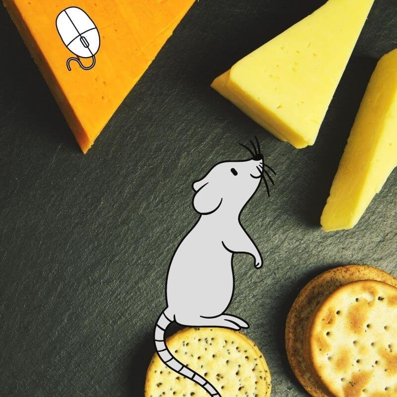 popular science myths mice love cheese