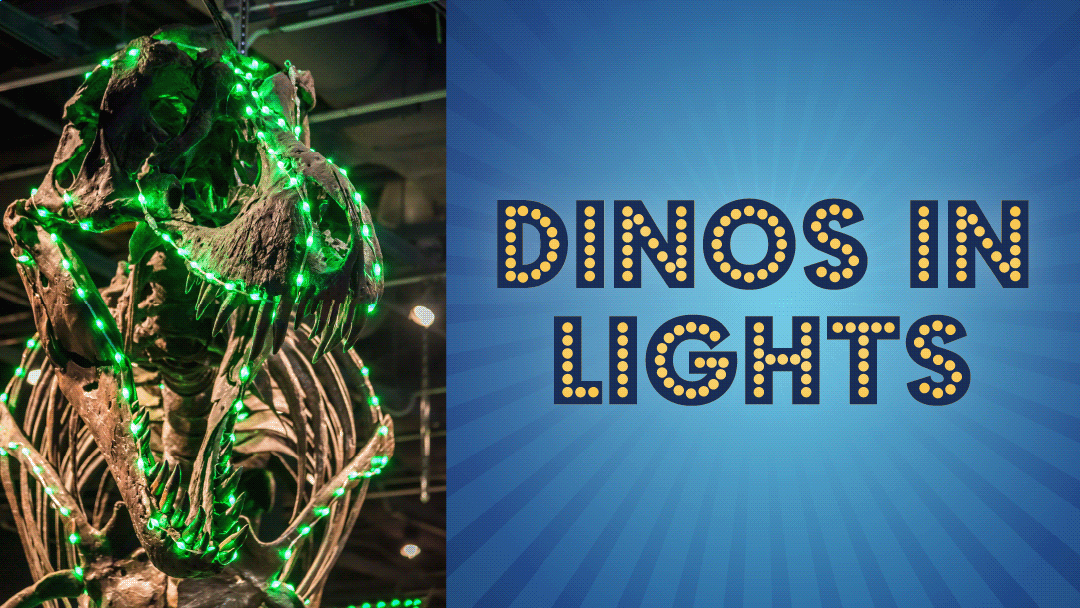 Dinos in Lights with photo of T-rex covered in green lights