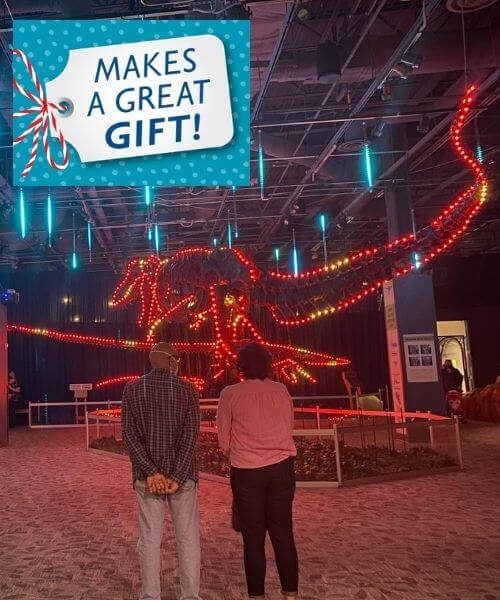 "Makes a great gift" and two people watching dinosaurs in lights
