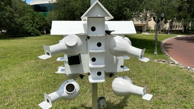 Purple Martin House