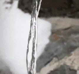 Laminar flow demonstration GIF