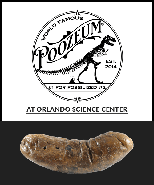 Poozeum at Orlando Science Center