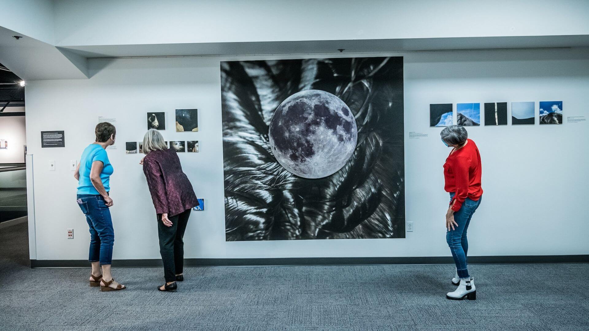 guests in the fusion