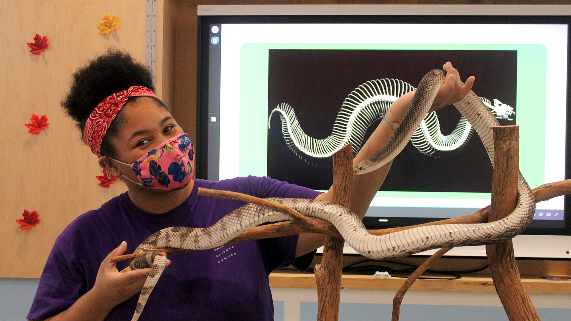 OSC staff member holding snake with x-ray of a snake in background.