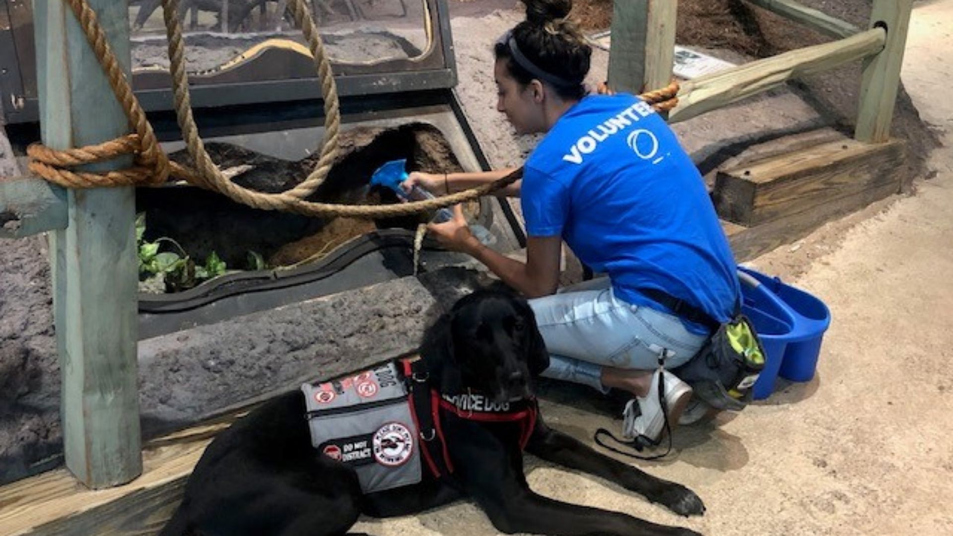 a STEM professional with her service dog at orlando science center