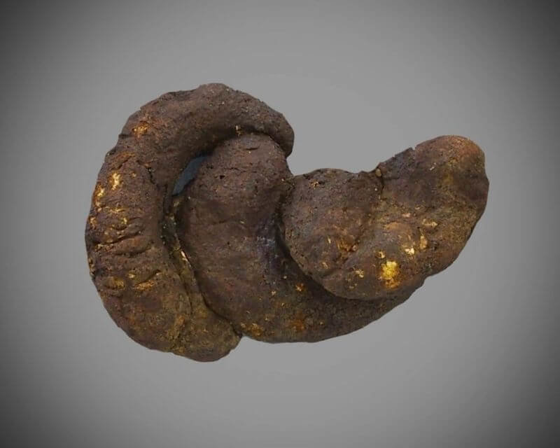 a very poop looking fossilized feces
