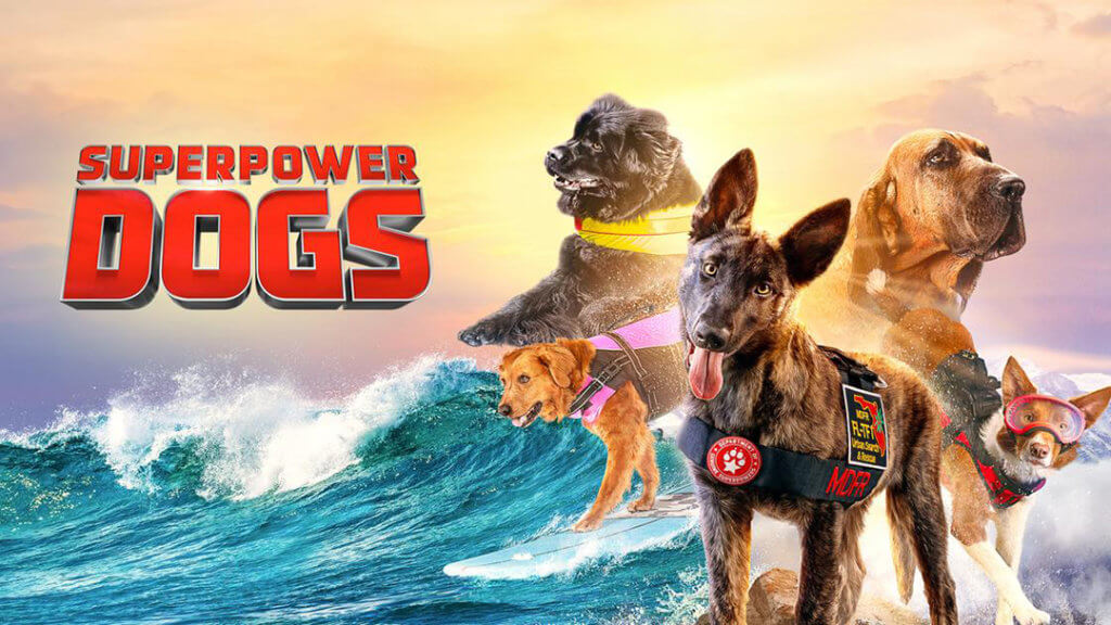 Superpower Dogs - montage of dogs in rescue vests looking heroic while surfing impossible waves.