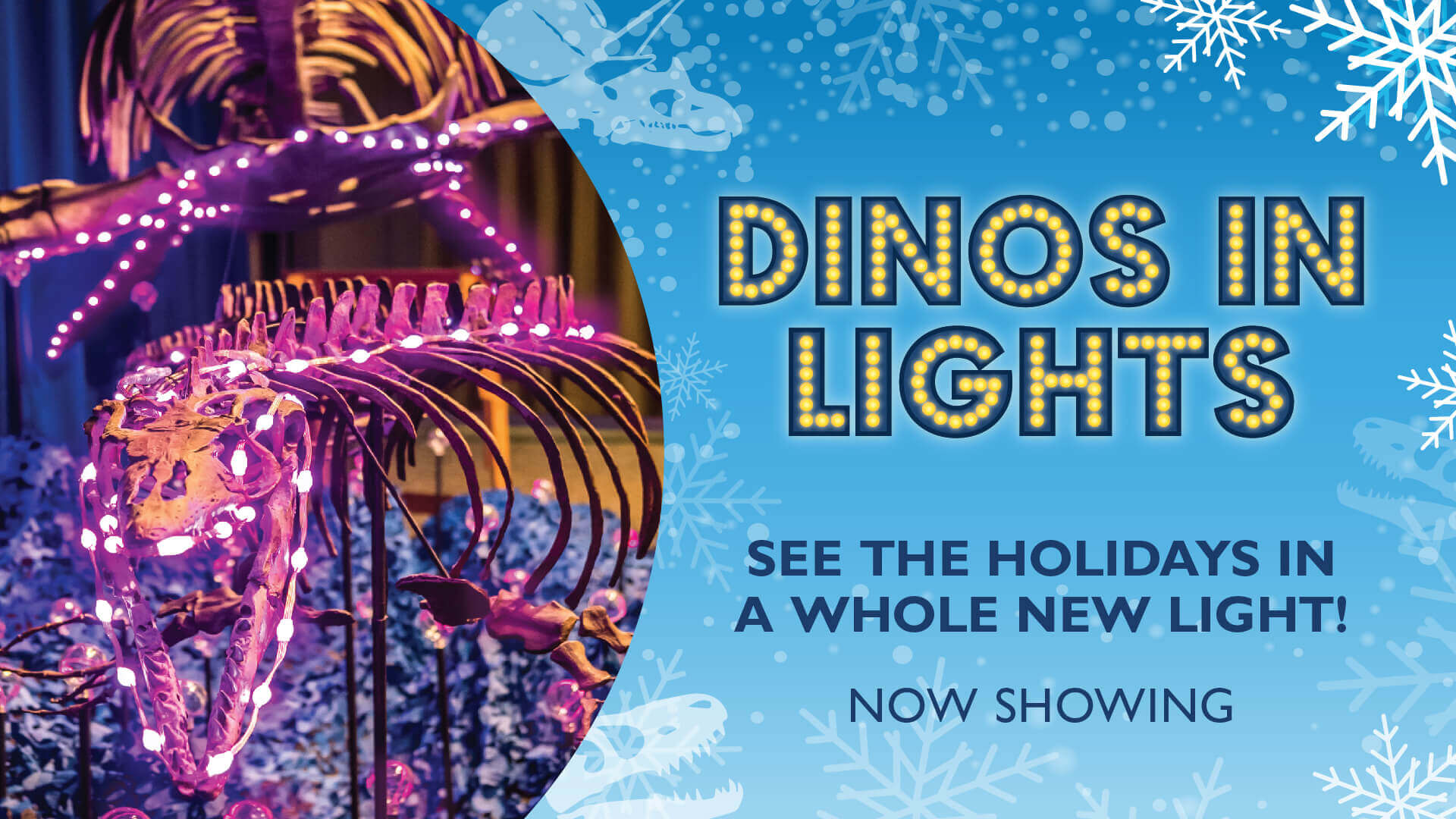 Dinos In Lights - See the Holidays in a Whole New Light! Now Showing