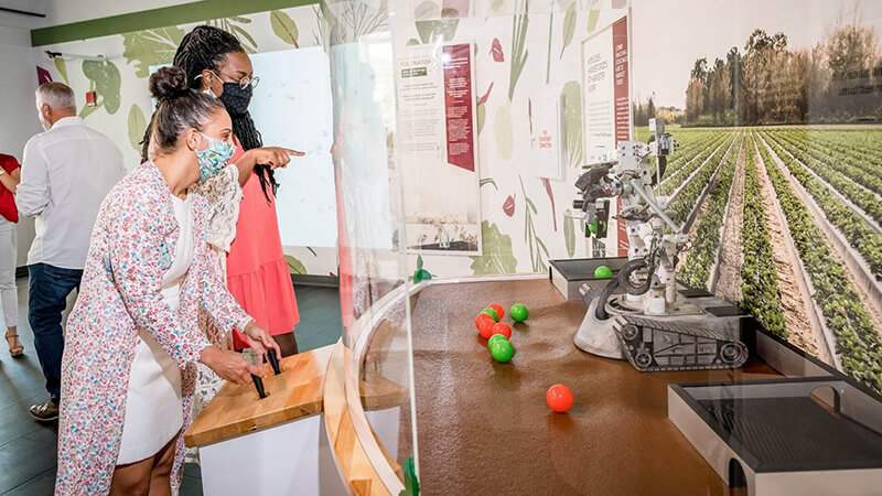Guests controlling robotic arm to pick strawberries in Food Heroes exhibit