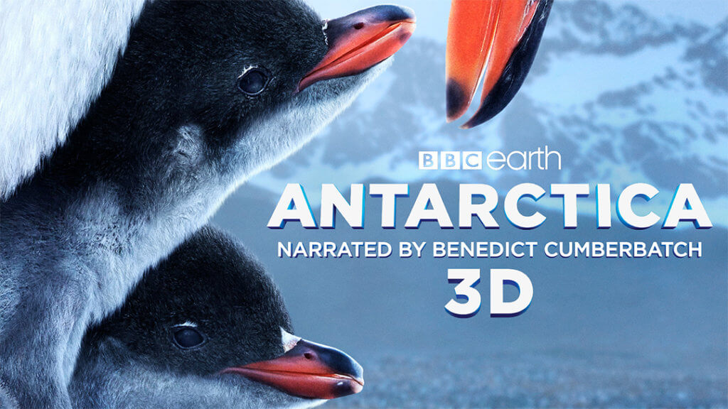 Antarctica 3D Film - image of two baby penguins