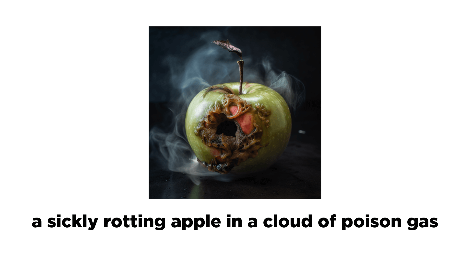 subject a close-up of a bug