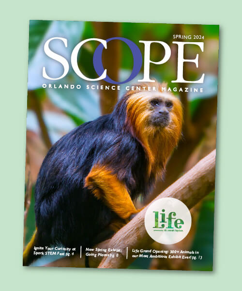 Cover of SCOPE Magazine featuring a gold-maned tamarin monkey.
