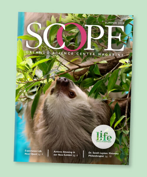 A sloth hangs upside down on the cover of the Summer 2024 SCOPE Magazine