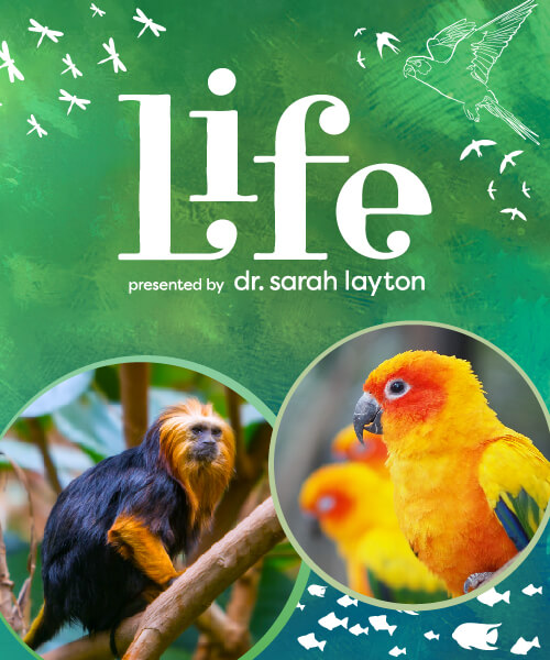 Life exhibit logo – presented by Dr. Sarah Layton