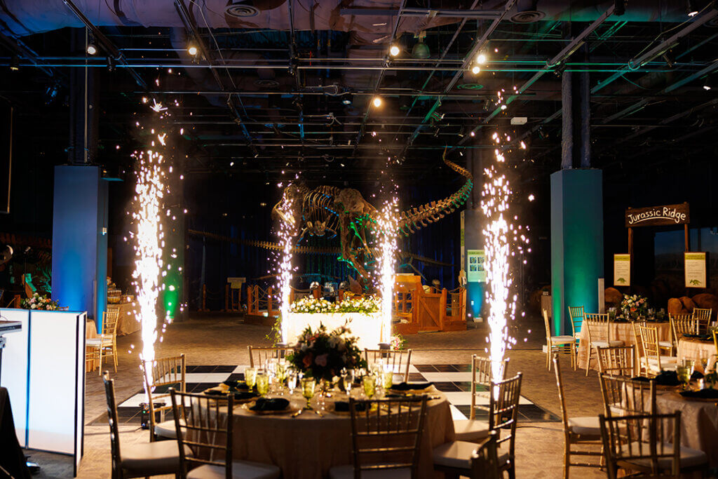Unveil2 Wedding display setup in DinoDigs exhibit.