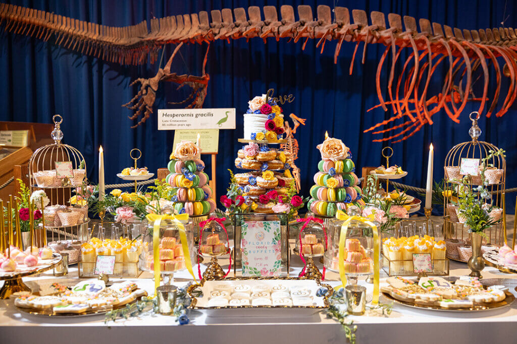 Unveil8 Wedding display setup in DinoDigs exhibit.