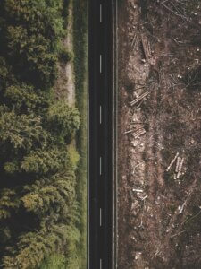 An aerial photo of a road separating a green forest on the left from brown, deforested land on the right
