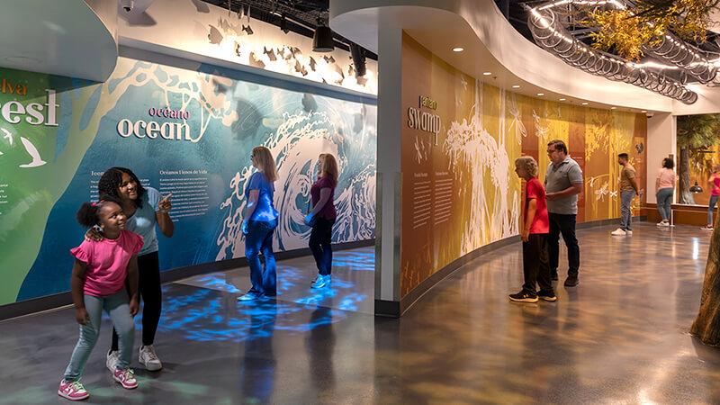 Life Exhibit Entrance Overview