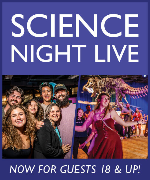 SNL_8 2025_Website_500x600