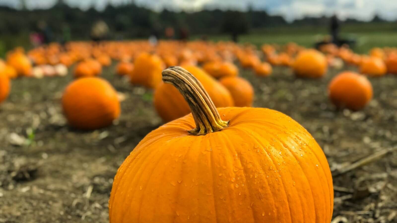 Photo 1506917728037 B6af01a7d403