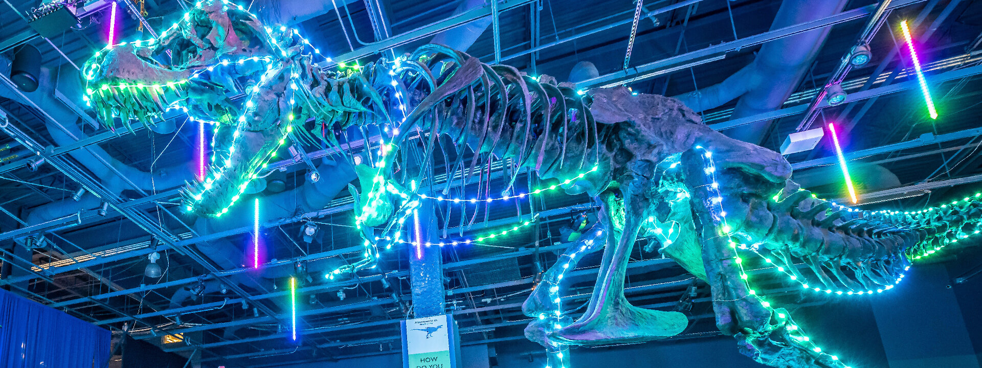 Dinos in Lights: Showing Through January 6
