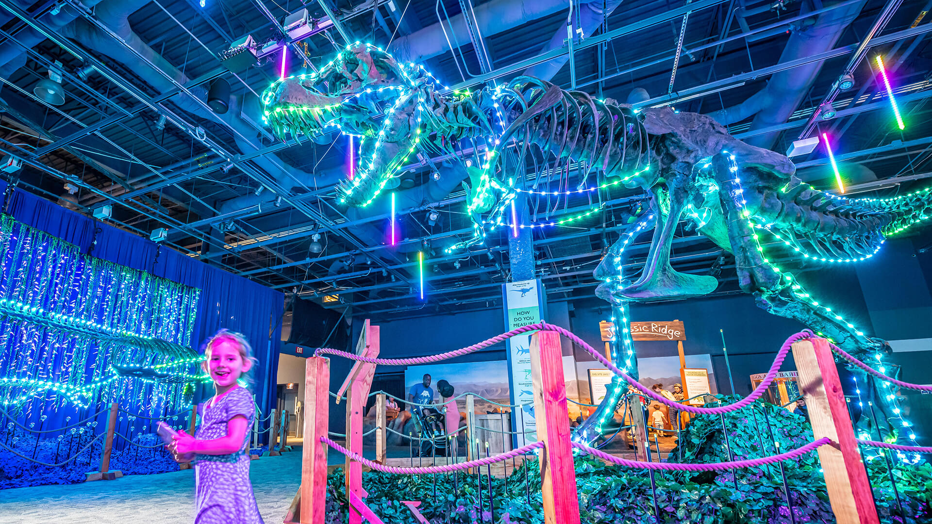 Dinos In Lights - skeleton of Stan the T.rex lit up for the holidays