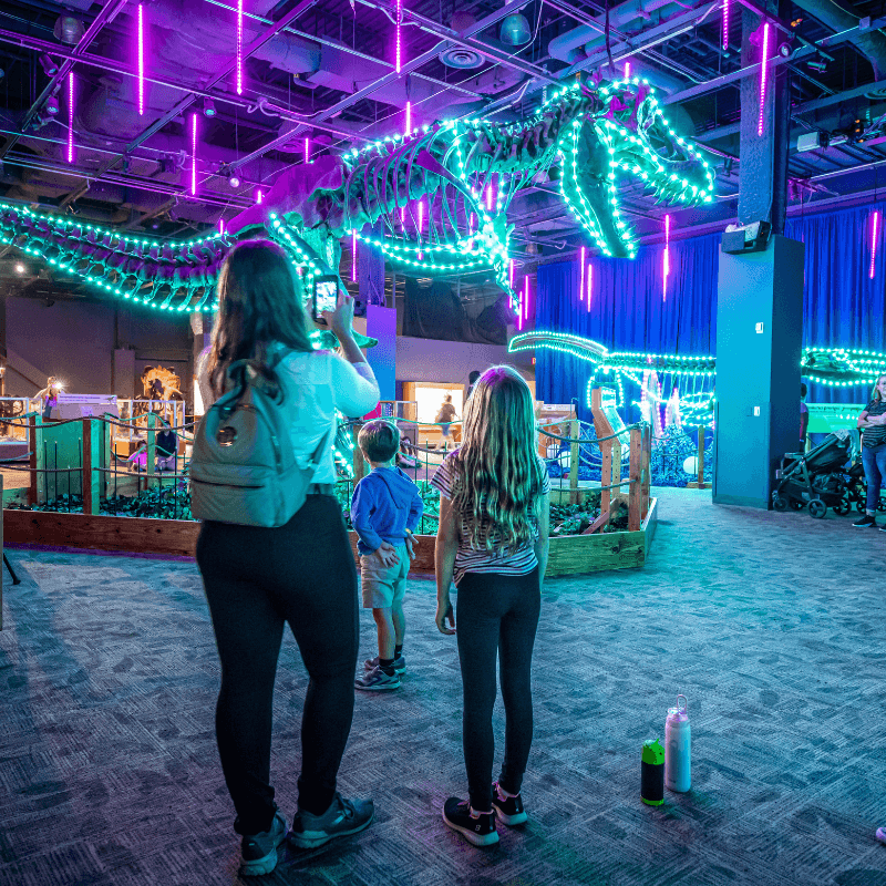 Dinos In Lights 2022_1 A mother and daughter looks at a T. Rex skeleton lit up with Christmas lights.
