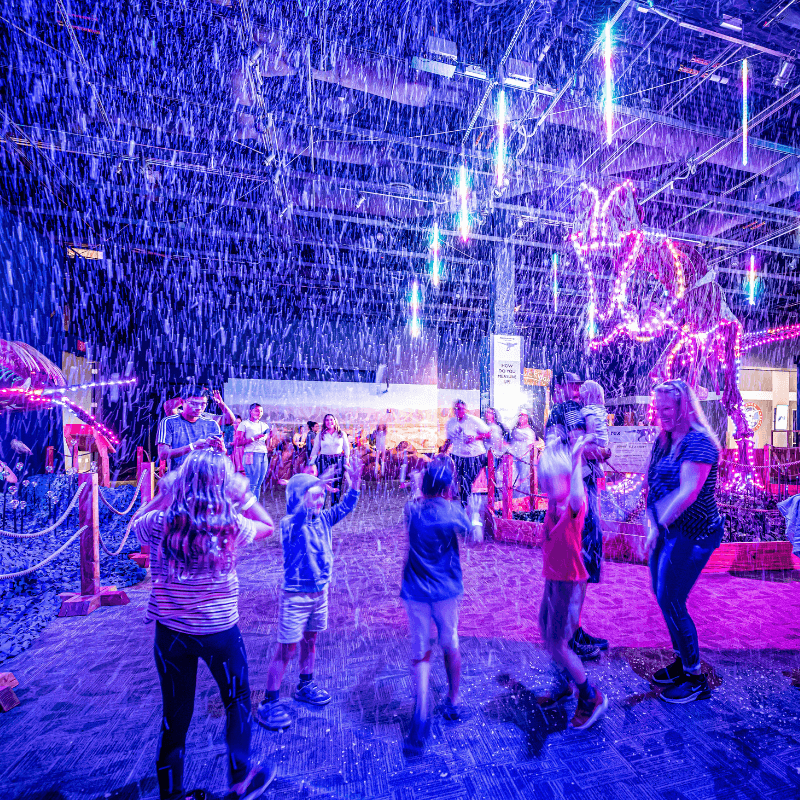 Dinos In Lights 2022_2 Families play in a simulated snow shower during the Dinos In Lights show.