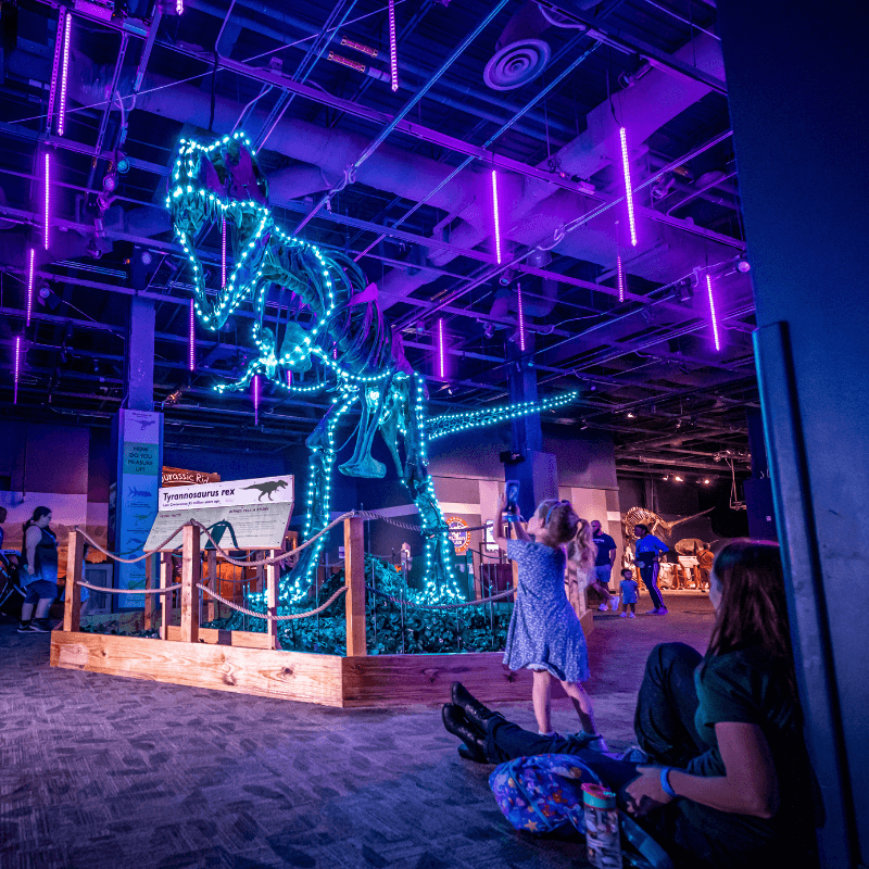 Dinos In Lights 2022_4 A young girl takes a photo of a T. rex skeleton lit up with Christmas lights.