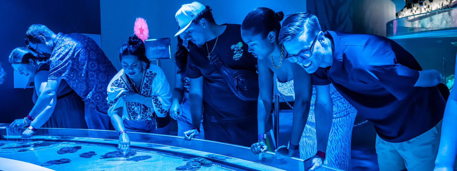 SNL_Header2026_1920x720B Group of adults enjoying the Ocean touch pool at Science Night Live